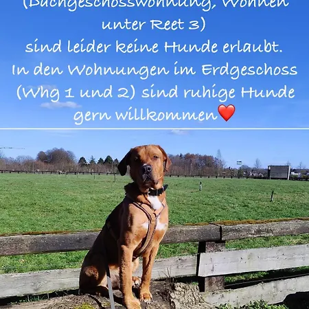 Wohnen Unter Reet Nibøl